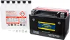 Fire Power Maintenance Free 12V Battery CTX9-BS