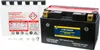 Fire Power Maintenance Free 12V Battery CTZ10S-BS