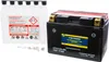 Fire Power Maintenance Free 12V Battery YTZ12S