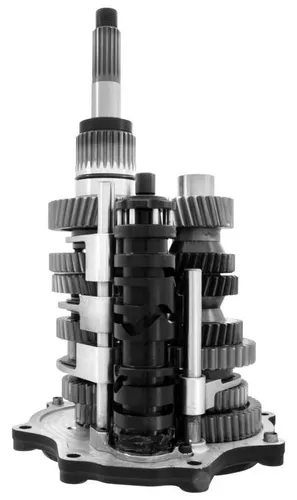 Direct Drive 7-Speed Gear - Black Door