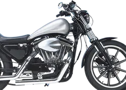 DS Extended Rubber Mount Smooth Gas Fuel Tank 1 Cap