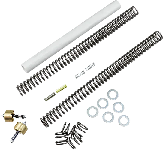 Race Tech Complete Gold Valve Front Fork .80kg Lowering Kit