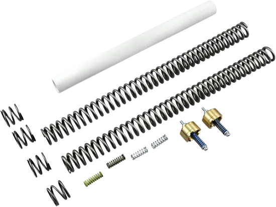 Race Tech Complete Gold Valve Front Fork .95kg Lowering Kit