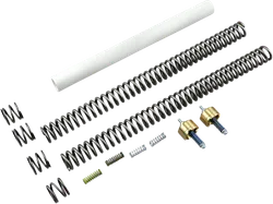 Race Tech Complete Gold Valve Front Fork .95kg Lowering Kit