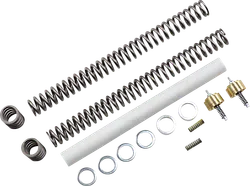 Race Tech Complete Gold Valve Front Fork 1kg Lowering Kit