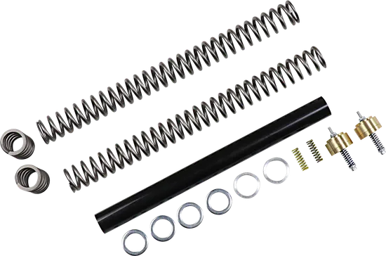 Race Tech Complete Gold Valve Front Fork .80kg Lowering Kit