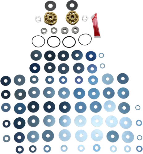 Race Tech Gold Valve Fork Kit