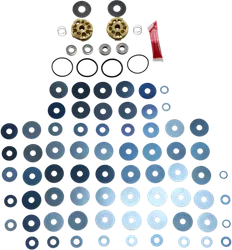 Race Tech Gold Valve Fork Kit