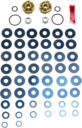 Race Tech Gold Valve Fork Kit