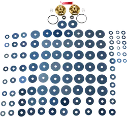 Race Tech Gold Valve Fork Kit