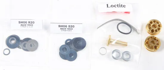 Race Tech Gold Valve Fork Kit