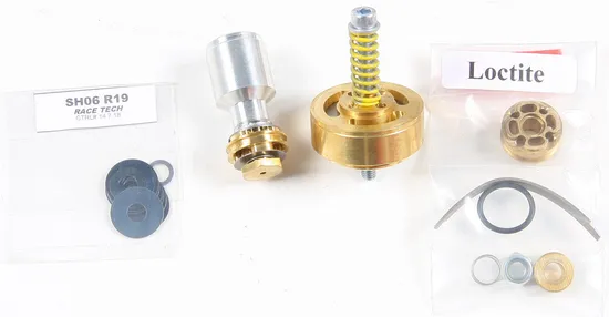 Race Tech Gold Valve Fork Kit
