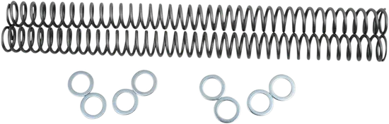 Race Tech Fork Spring 0.32 kg/mm Pair