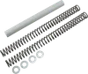 Race Tech Fork Spring 0.46 kg/mm Pair