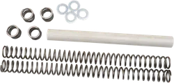 Race Tech Fork Spring Kit .40 to .46kg