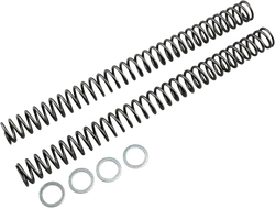 Race Tech Fork Spring 0.46 kg/mm Pair