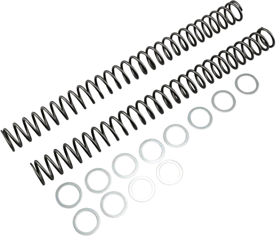 Race Tech Fork Spring 0.46 kg/mm Pair