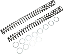 Race Tech Fork Spring 0.46 kg/mm Pair