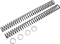 Race Tech Fork Spring 0.46 kg/mm Pair