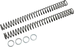 Race Tech Fork Spring 0.39 kg/mm Pair