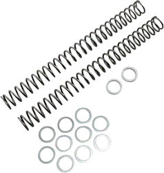 Race Tech Fork Spring 0.40 kg/mm Pair