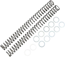 Race Tech Fork Spring 0.46 kg/mm Pair