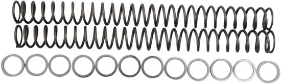 Race Tech Fork Spring 0.48 kg/mm Pair