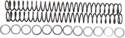 Race Tech Fork Spring 0.48 kg/mm Pair