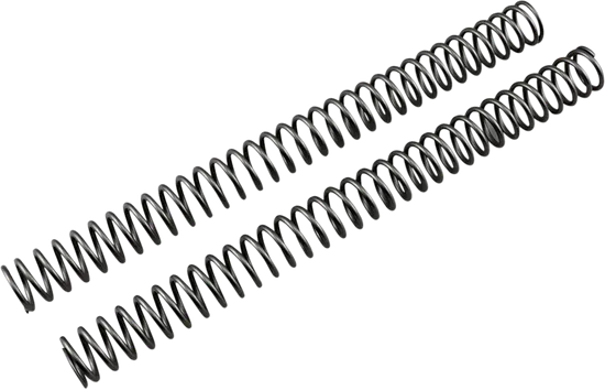 Race Tech Fork Spring 0.42 kg/mm Pair