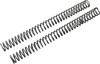 Race Tech Fork Spring 0.42 kg/mm Pair