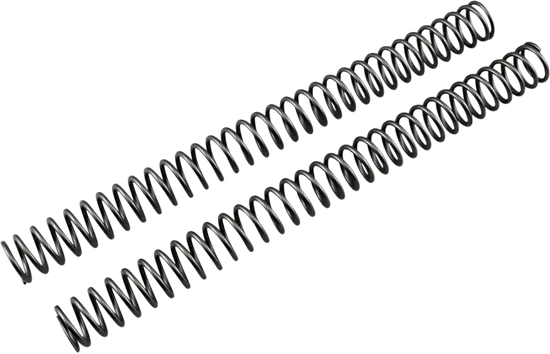 Race Tech Fork Spring 0.46 kg/mm Pair