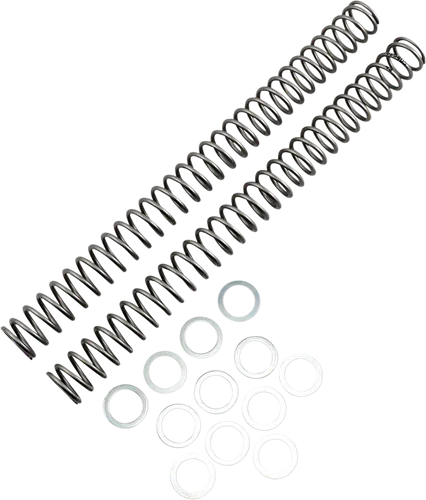 Race Tech Fork Spring 0.42 kg/mm Pair 2