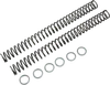 Race Tech Fork Spring 0.46 kg/mm Pair