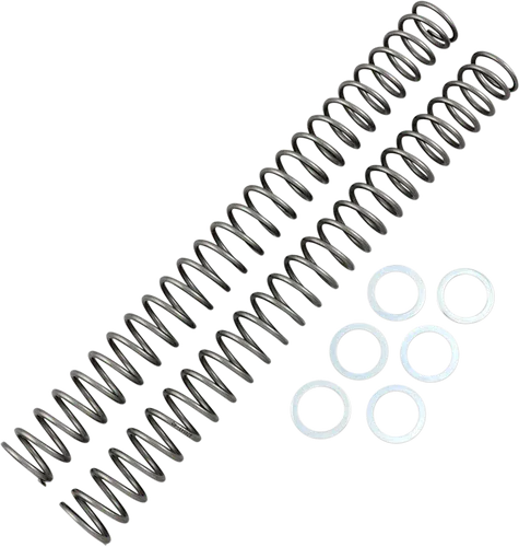 Race Tech Fork Spring 0.40 kg/mm Pair