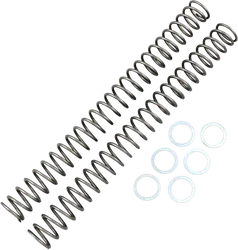 Race Tech Fork Spring 0.40 kg/mm Pair