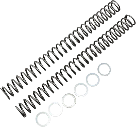Race Tech Fork Spring 0.42 kg/mm Pair