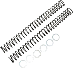 Race Tech Fork Spring 0.42 kg/mm Pair