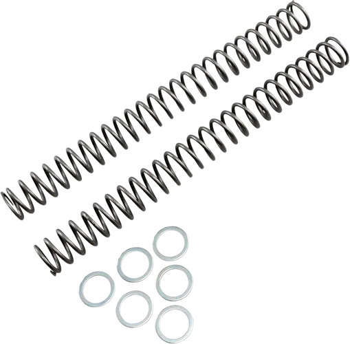 Race Tech Fork Spring 0.46 kg/mm Pair