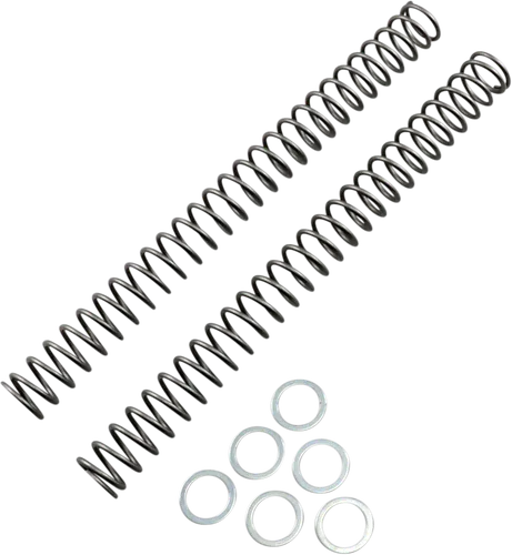 Race Tech Fork Spring 0.38 kg/mm Pair