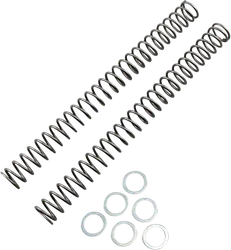 Race Tech Fork Spring 0.38 kg/mm Pair