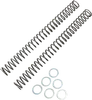 Race Tech Fork Spring 0.38 kg/mm Pair
