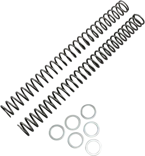 Race Tech Fork Spring 0.42 kg/mm Pair