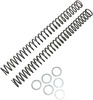 Race Tech Fork Spring 0.42 kg/mm Pair