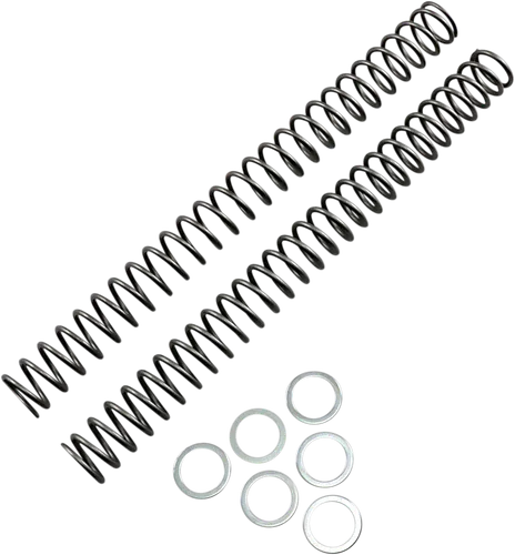 Race Tech Fork Spring 0.46 kg/mm Pair