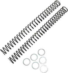 Race Tech Fork Spring 0.46 kg/mm Pair