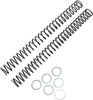 Race Tech Fork Spring 0.46 kg/mm Pair