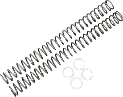 Race Tech Fork Spring 0.48 kg/mm Pair