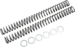 Race Tech Fork Spring 0.50 kg/mm Pair
