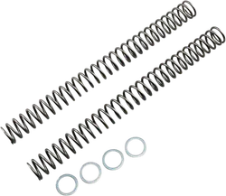 Race Tech Fork Spring 0.38 kg/mm Pair