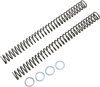 Race Tech Fork Spring 0.38 kg/mm Pair